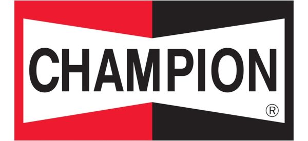 Bujia De Encendido Bordeadora Dj8j Champion - Imagen 2