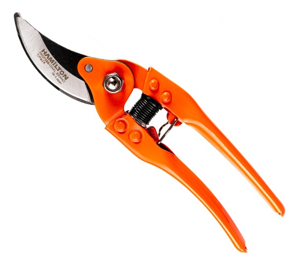 Kit Combo Jardineria Tijeras Podar X2 + Serrucho Bremen - Imagen 3