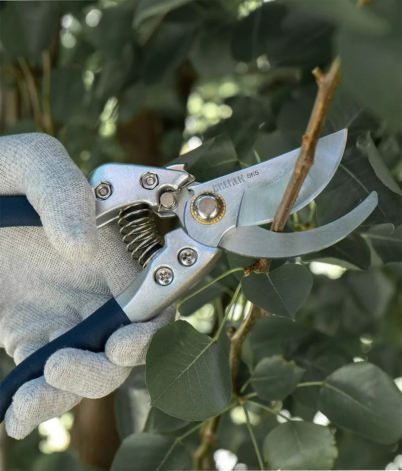 Tijera Podar Mango Aluminio Bremen 8180 9'' Corte O25mm Sk-5 - Imagen 6