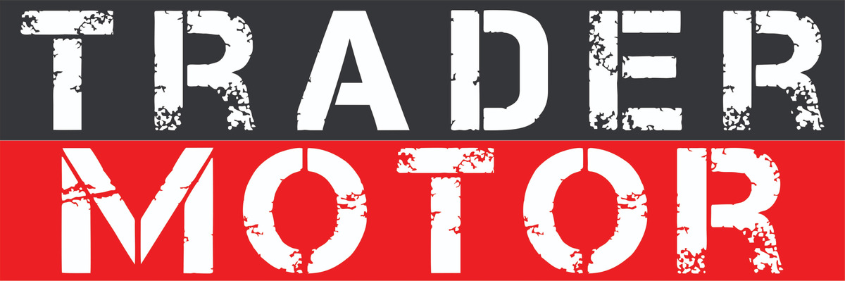 Cargador De Baterias Con Arrancador Up Volt 400a 12v Auto - Imagen 8