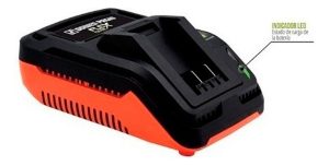 Cargador Baterías Ion Litio Dowen Pagio Flex One 9998155 60w